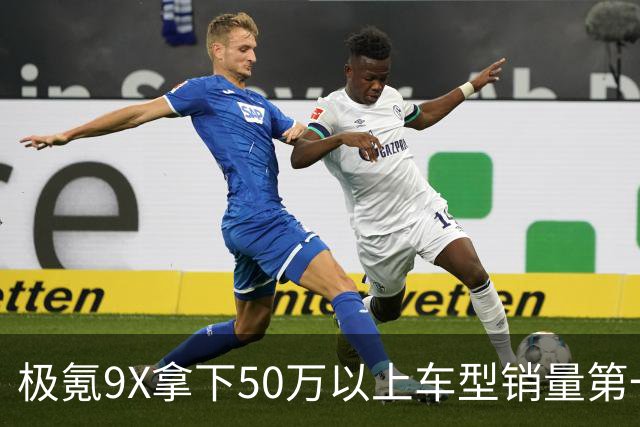 极氪9X拿下50万以上车型销量第一名 官方公布车主画像
